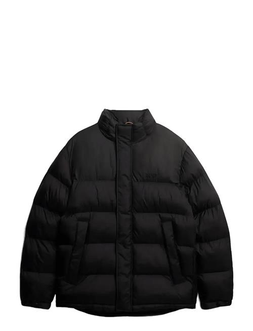Non Hooded Tech Padded Jkt Superdry Black