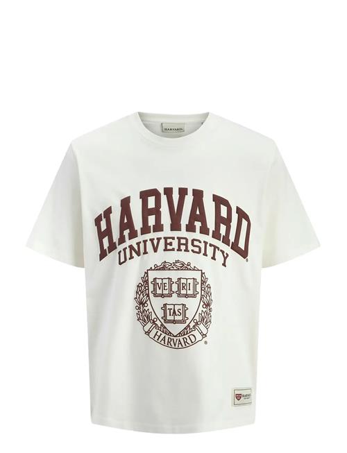 Jack & Jones Jorharvard Tee Ss C.n Styd Ss25 Jack & J S White