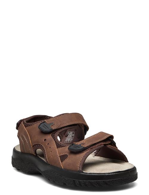 Loop Marstrand Sandal Brun 40 Marstrand Brown