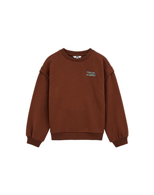 WE Fashion Sweatshirt  kastaniebrun