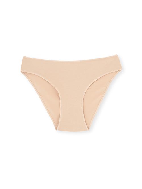 Dagi Panty  nude