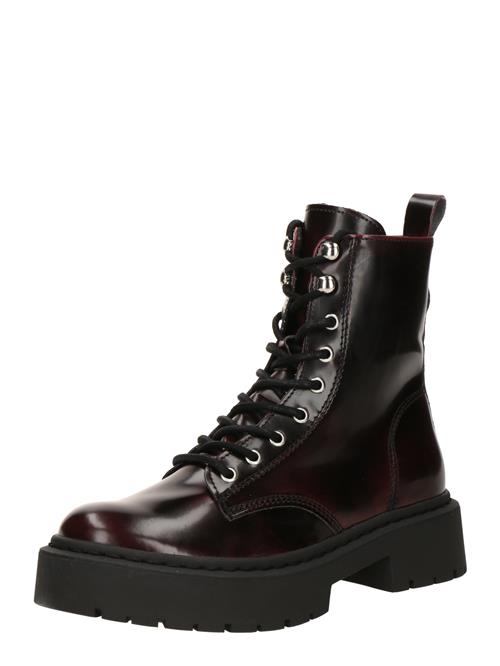 STEVE MADDEN Snørestøvletter 'Gusto'  burgunder
