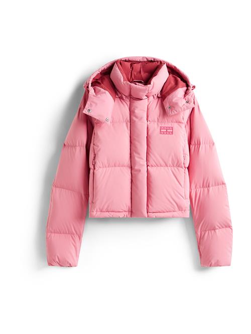 Tommy Jeans Vinterjakke 'ALASKA'  pitaya