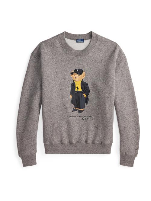 Polo Ralph Lauren Sweatshirt  brun / curry / grå-meleret / sort