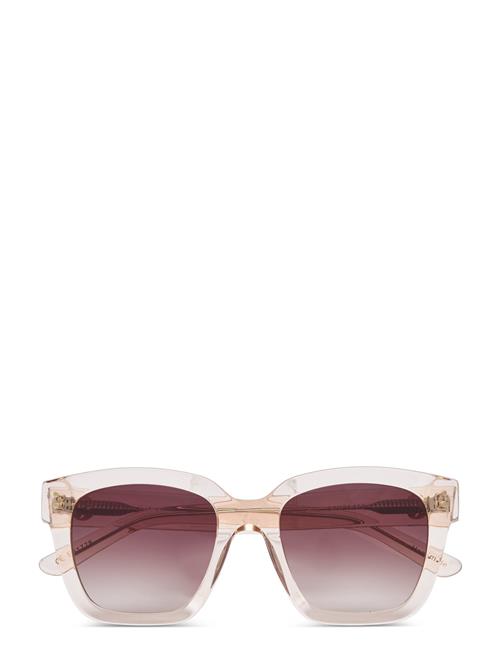 Modena Champagne Gradual Brown Corlin Eyewear Pink
