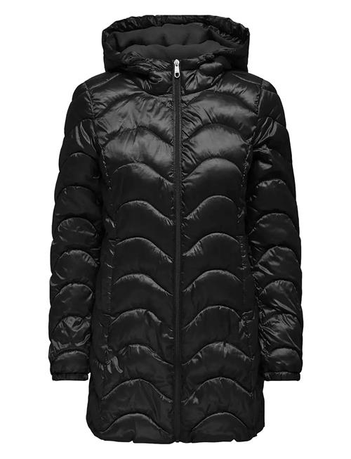 Carvega Wave Quilted Coat Otw ONLY Carmakoma Black