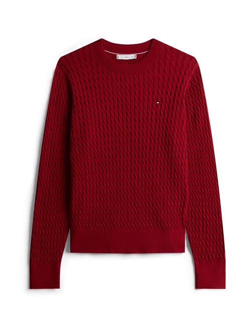 TOMMY HILFIGER Pullover  rød