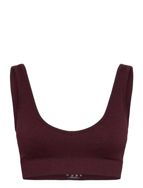 Seamless Deep V Bra Drop Of Mindfulness Burgundy
