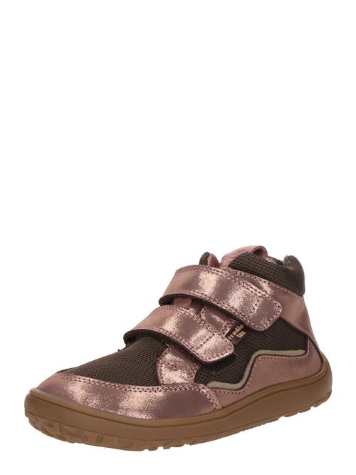 Froddo Sneakers  mørkebrun / eosin