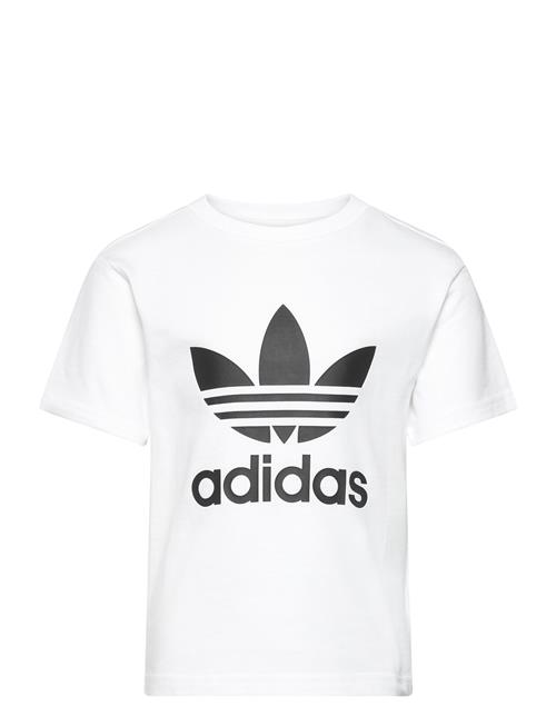 Trefoil Tee Adidas Originals White