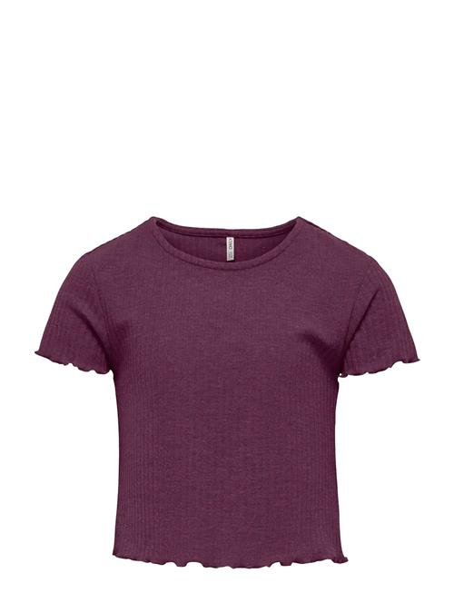 Kognella S/S O-Neck Top Noos Jrs Kids Only Purple