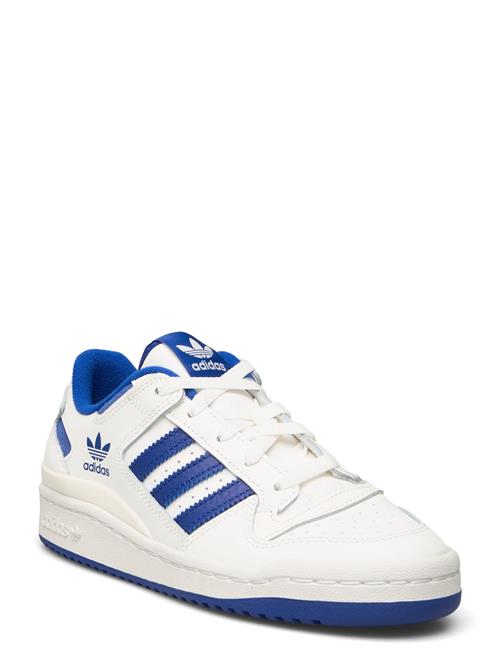 Forum Low Cl J Adidas Originals White
