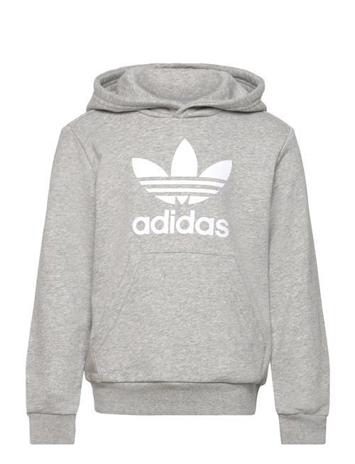 Trefoil Hoodie Adidas Originals Grey