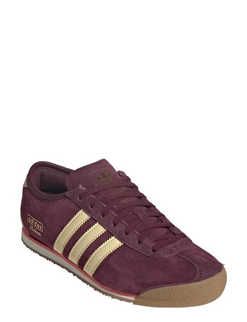 Italia 70S W Adidas Originals Purple