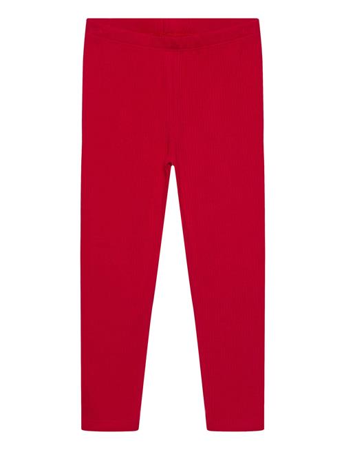Tnstrianna Rib Leggings The New Red