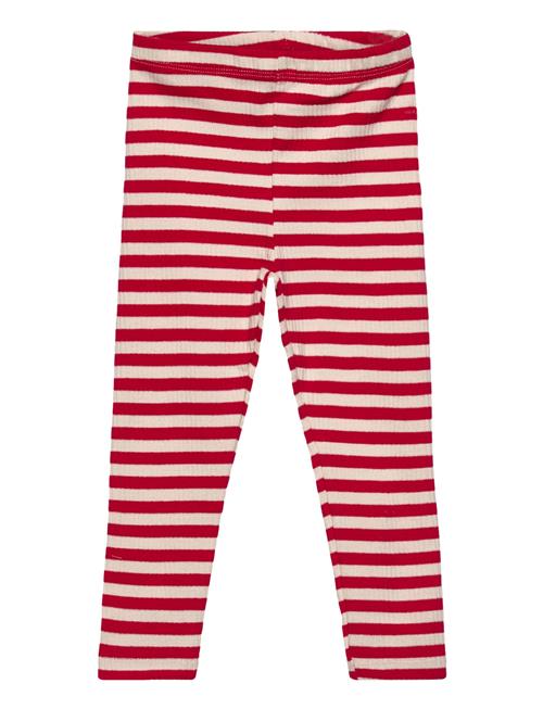 Tnstfro Rib Leggings The New Red