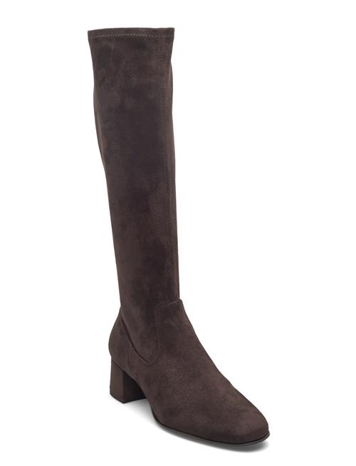 Lapesf25St UNISA Brown