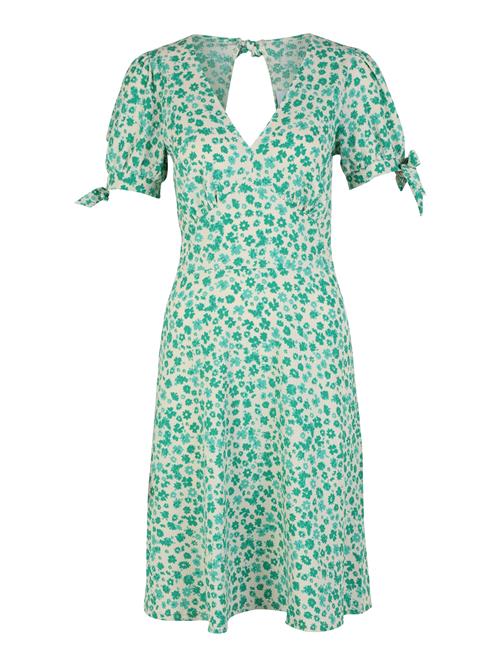 Dorothy Perkins Tall Kjole  beige / jade