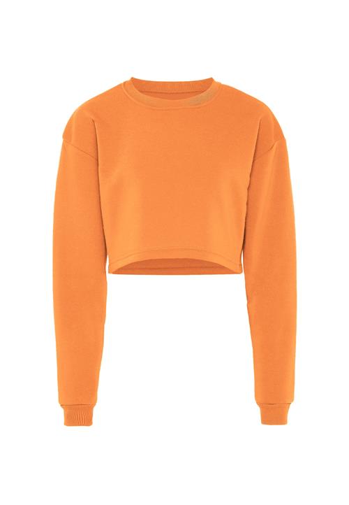 NALLY Sweatshirt  orange
