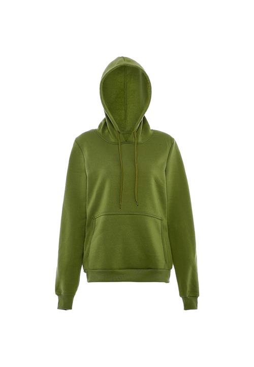 NALLY Sweatshirt  siv