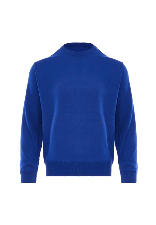 NALLY Pullover  ultramarinblå