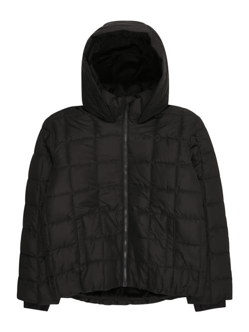 Abercrombie & Fitch Vinterjakke  sort