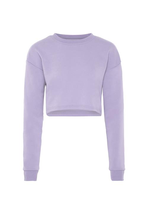 hoona Sweatshirt  lyselilla