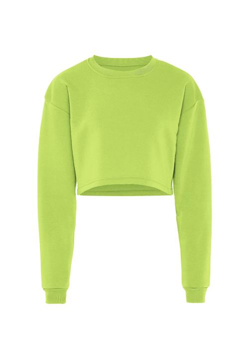 Flyweight Sweatshirt  siv