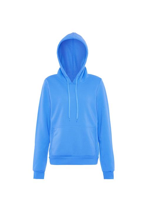 Exide Sweatshirt  blå