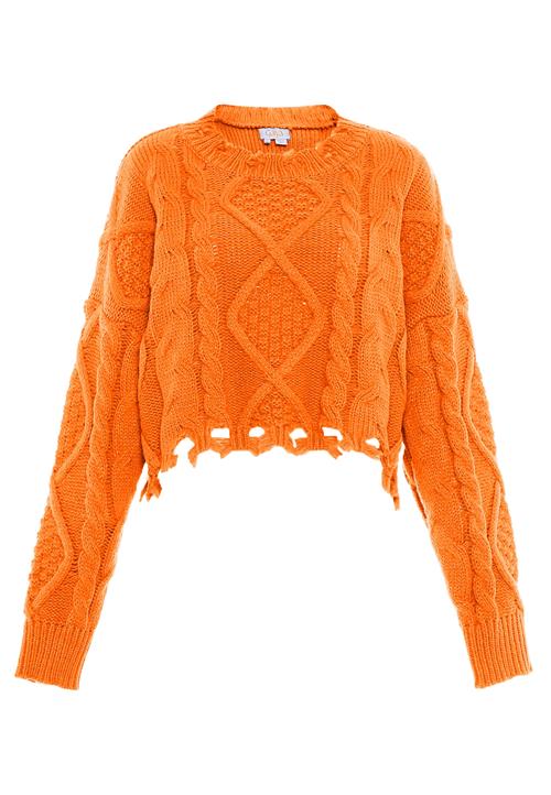 Gaya Pullover  orange