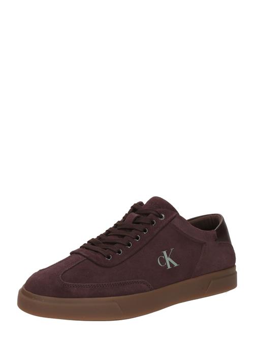 Calvin Klein Sneaker low  choko