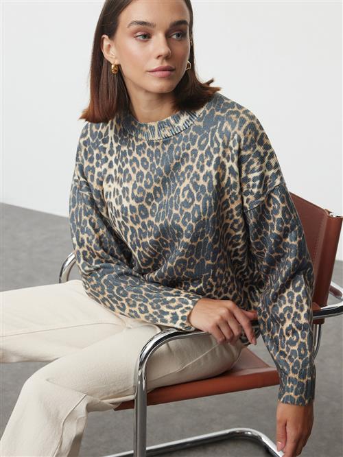 Trendyol Pullover  brun / cappuccino / sort
