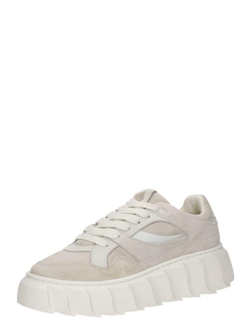Apple of Eden Sneaker low 'BERNA'  beige / lysegrå
