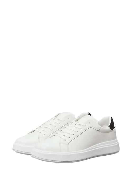 Low Top Lace Up Lth Calvin Klein White