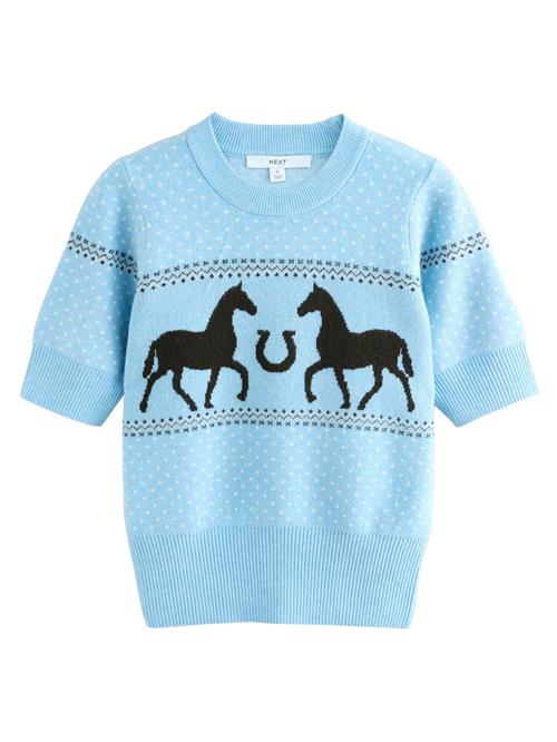 Next Pullover  lyseblå / sort / hvid