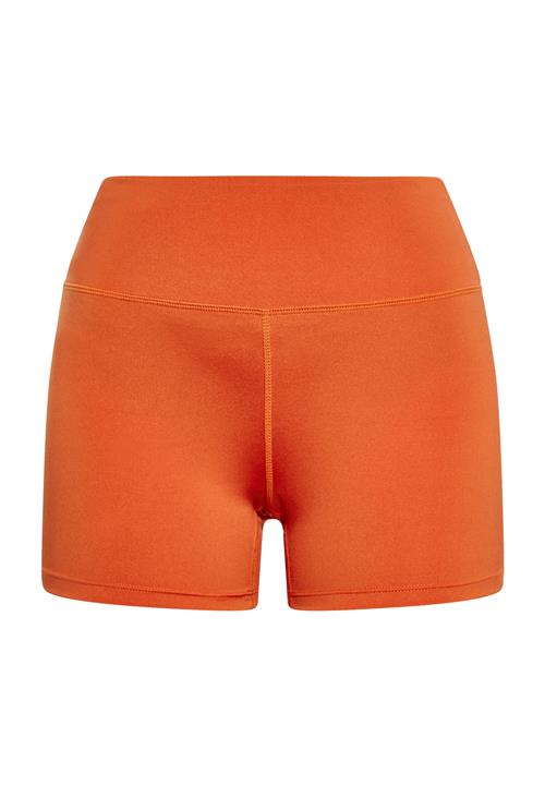 faina Athlsr Leggings  hummer