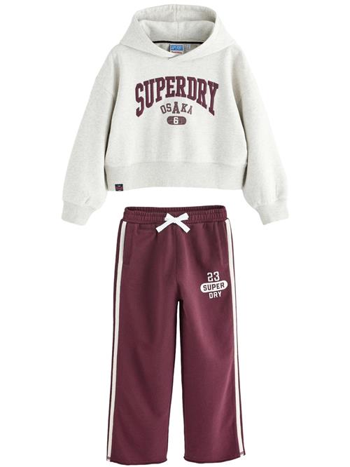 Superdry Sæt  lysegrå / burgunder