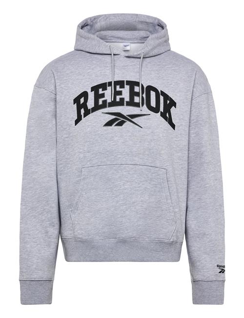 Varsity High Density Hoodie Reebok Classics Grey