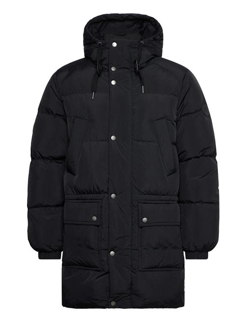 Down Puffer Parka GANT Black