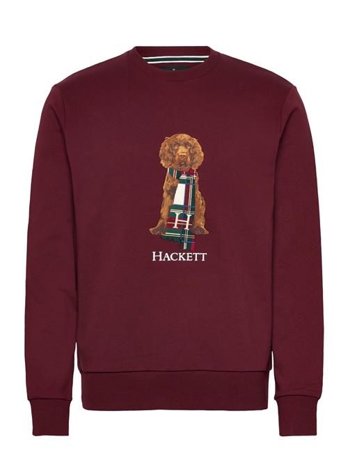 Heritage Harry Crew Hackett London Burgundy