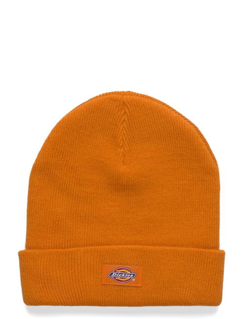 Gibsland Beanie Dickies Orange