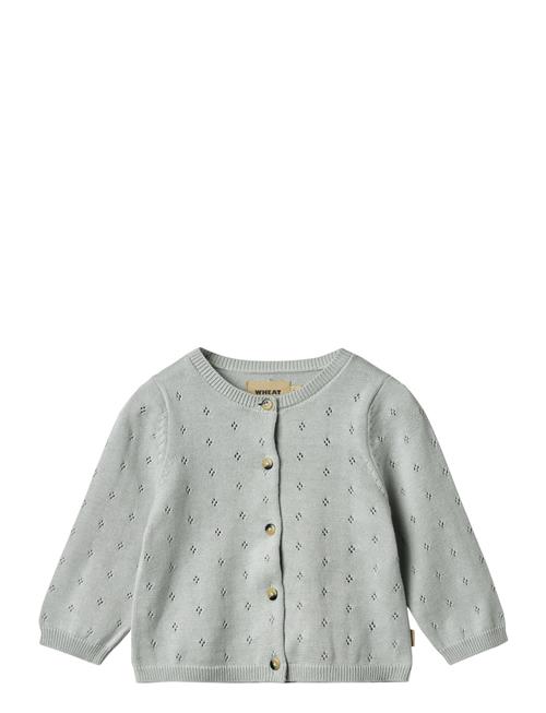 Knit Cardigan Maia Wheat Blue