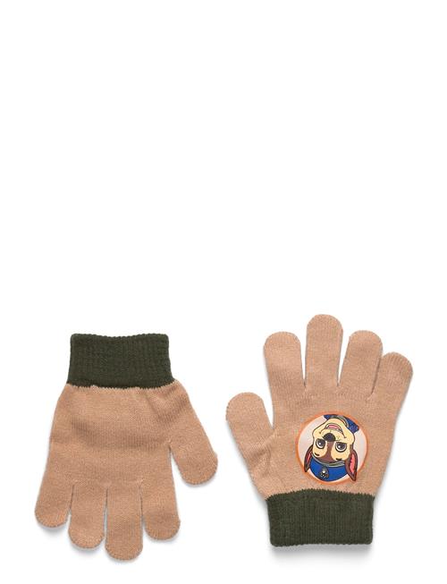Gloves Paw Patrol Beige