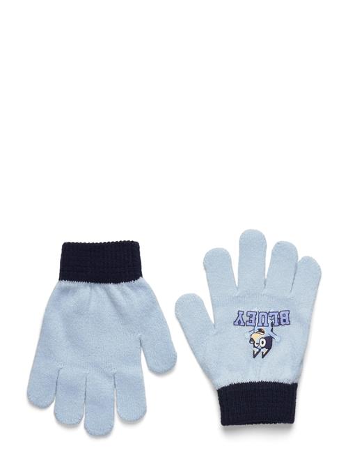 Gloves Bluey Blue