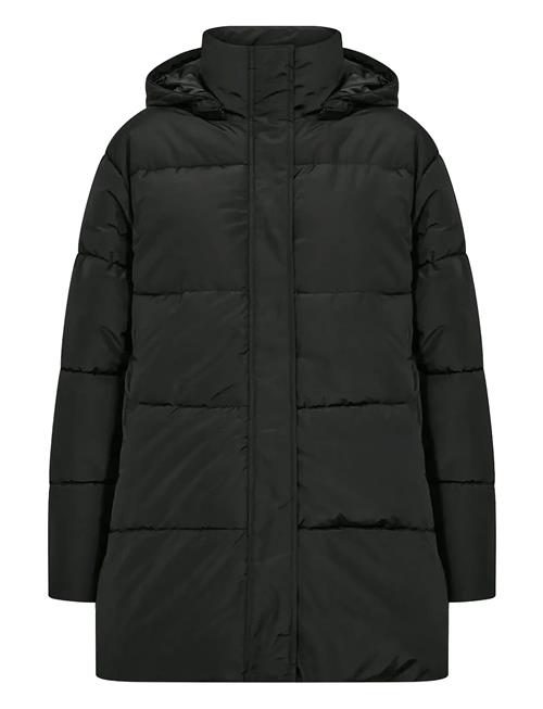Sc-Nina Soyaconcept Black