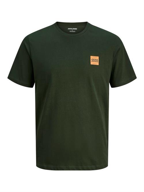 JJBRANDY TEE SS CREW NECK LN