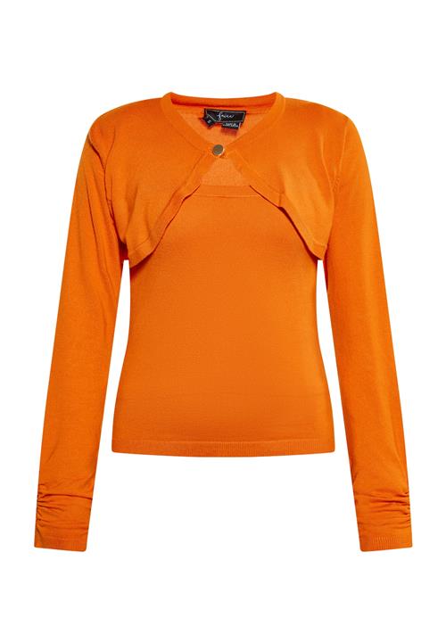 faina Pullover  orange