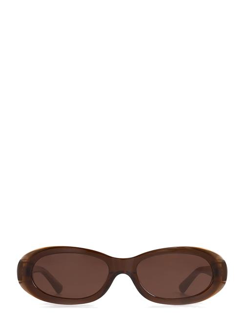 Louis Corlin Eyewear Brown