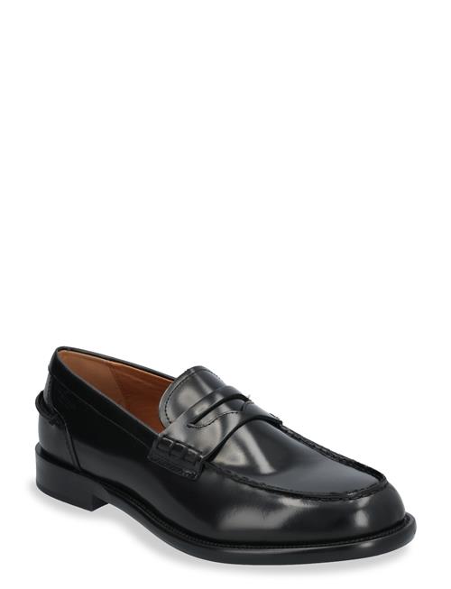 Steven VAGABOND Black