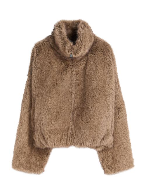 Bershka Overgangsjakke  mørkebeige
